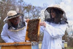 Should I join a beekeeping club?