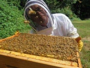 Contrarian Positions Every New Beekeeper Should Consider