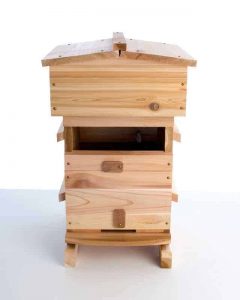 A Detailed Look at the Warre Beehive