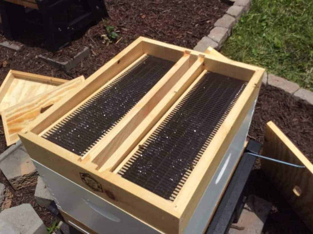 Top Hive Feeder Filled with Sugar Water